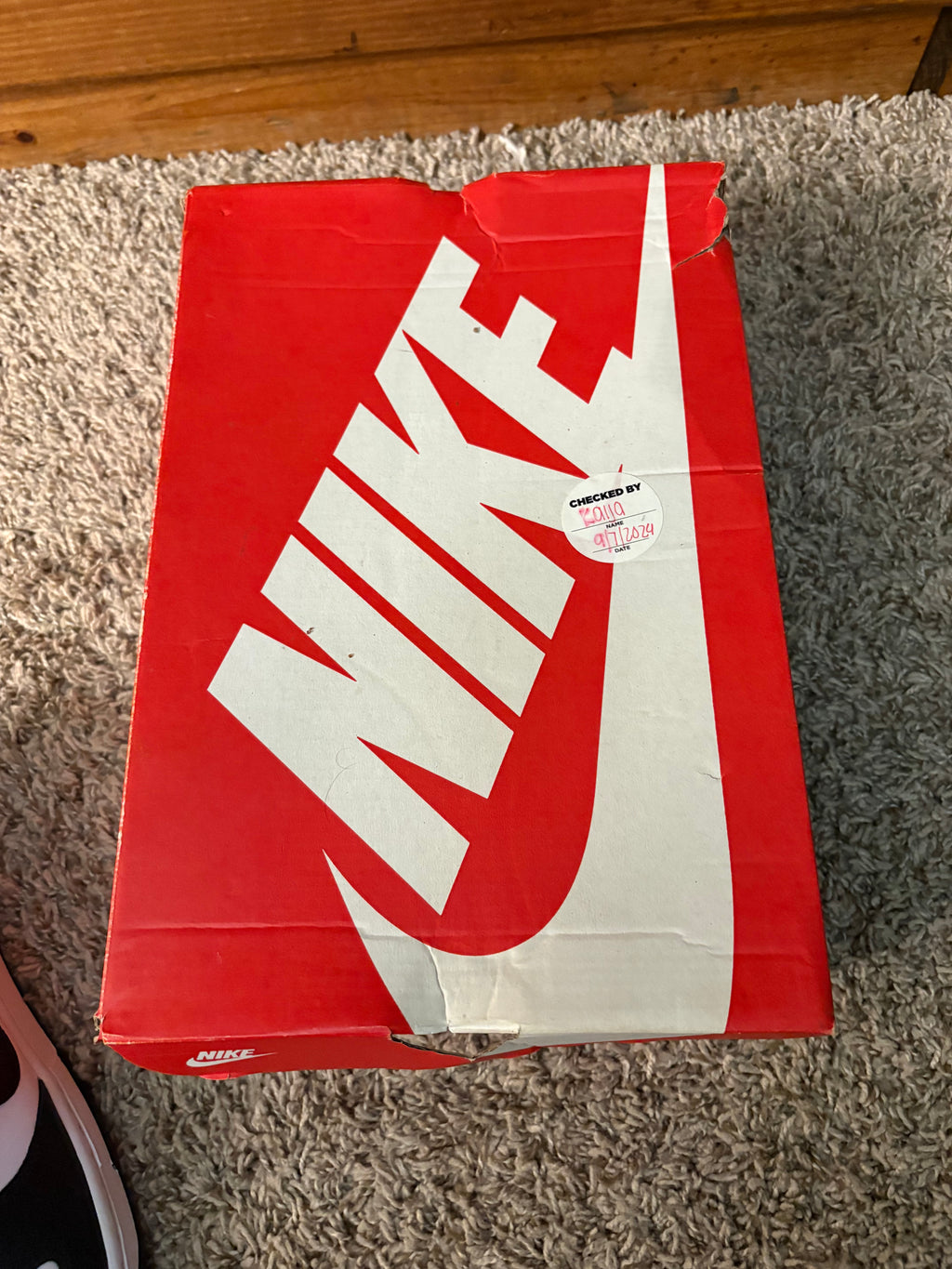 (Pre Owned) Nike Dunk Panda Low - Size 10